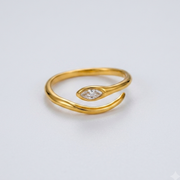 Sian Ring
