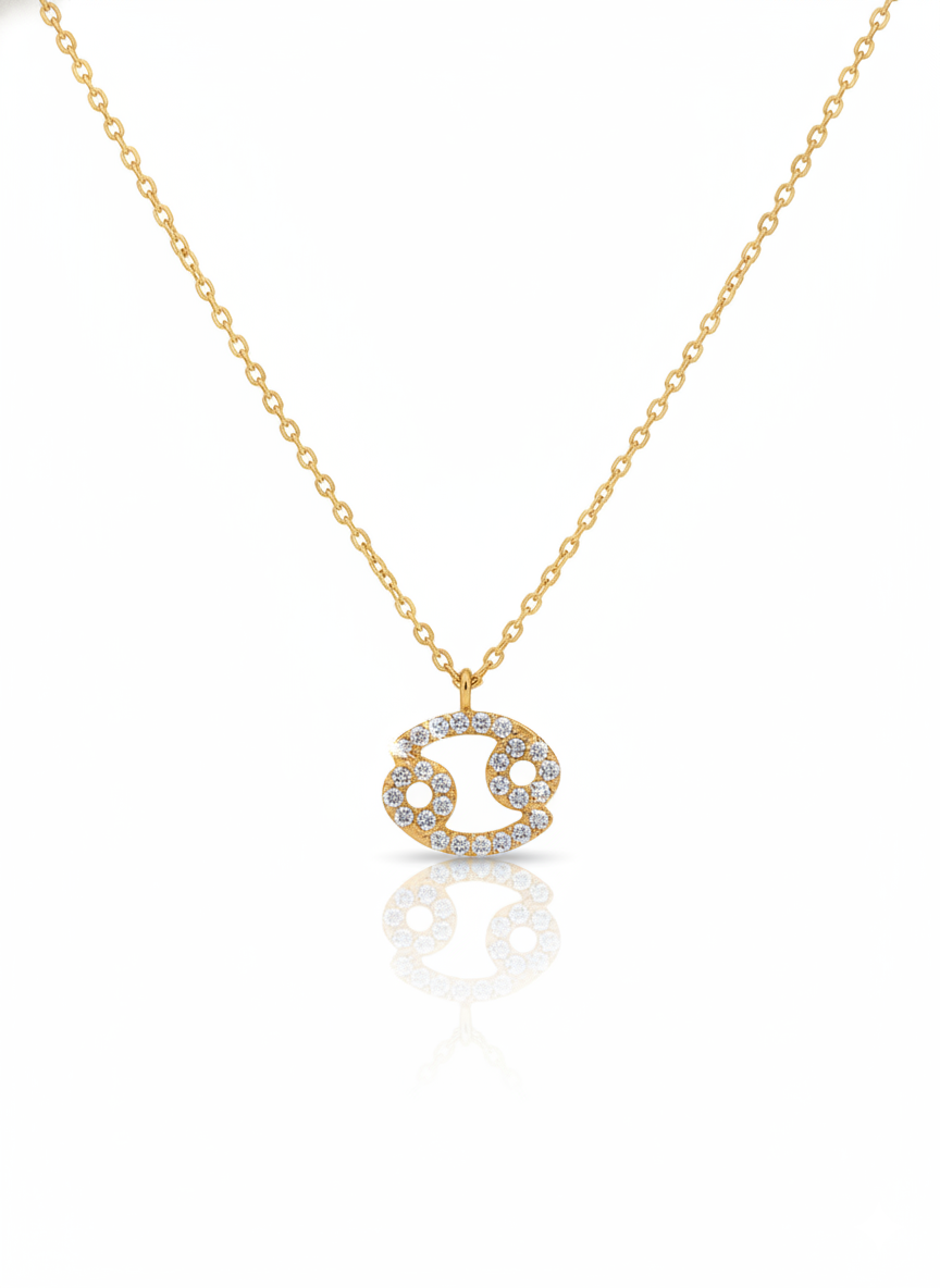 Astro Sign Necklace